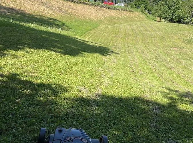 Clore & 3* Lama Mocogno